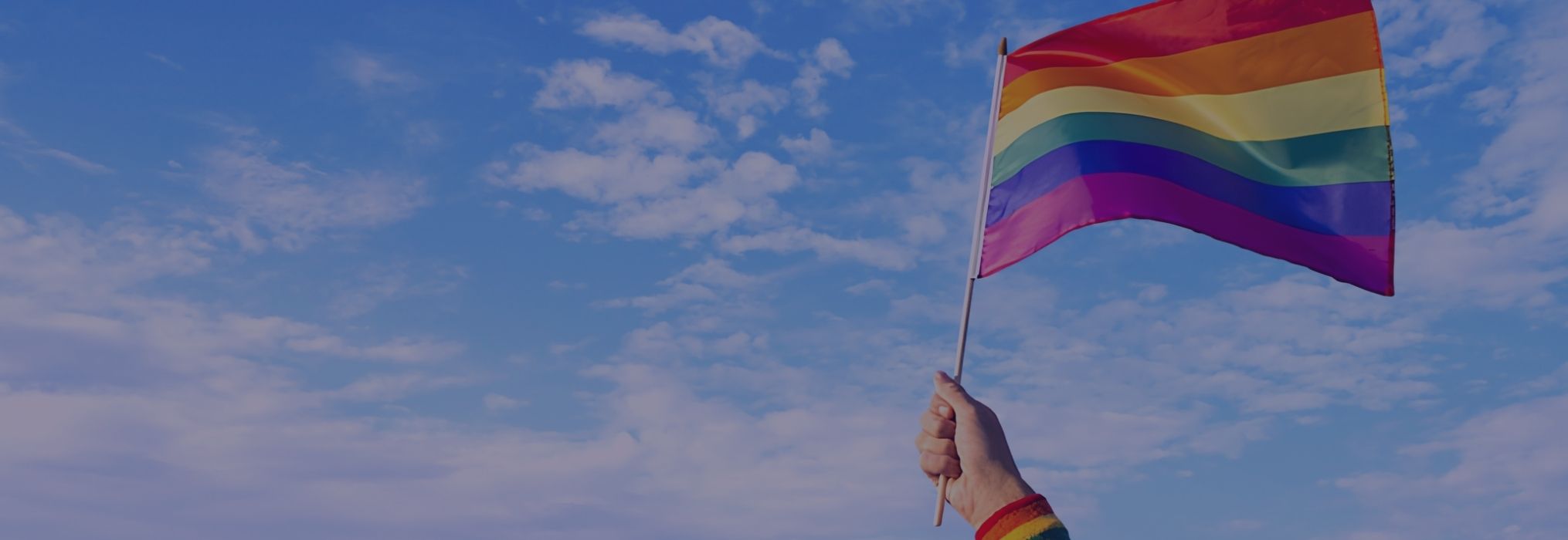 TDS Celebrates Pride